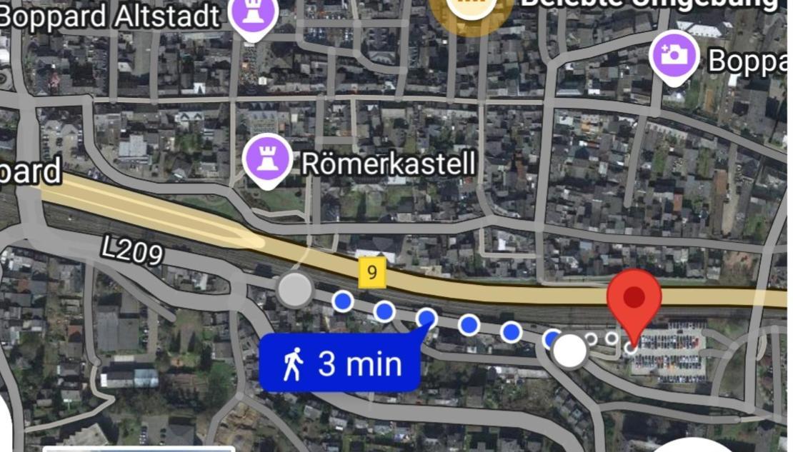 בופארד Urlaub Am Rhein, Ferienwohnung Mit Garten מראה חיצוני תמונה