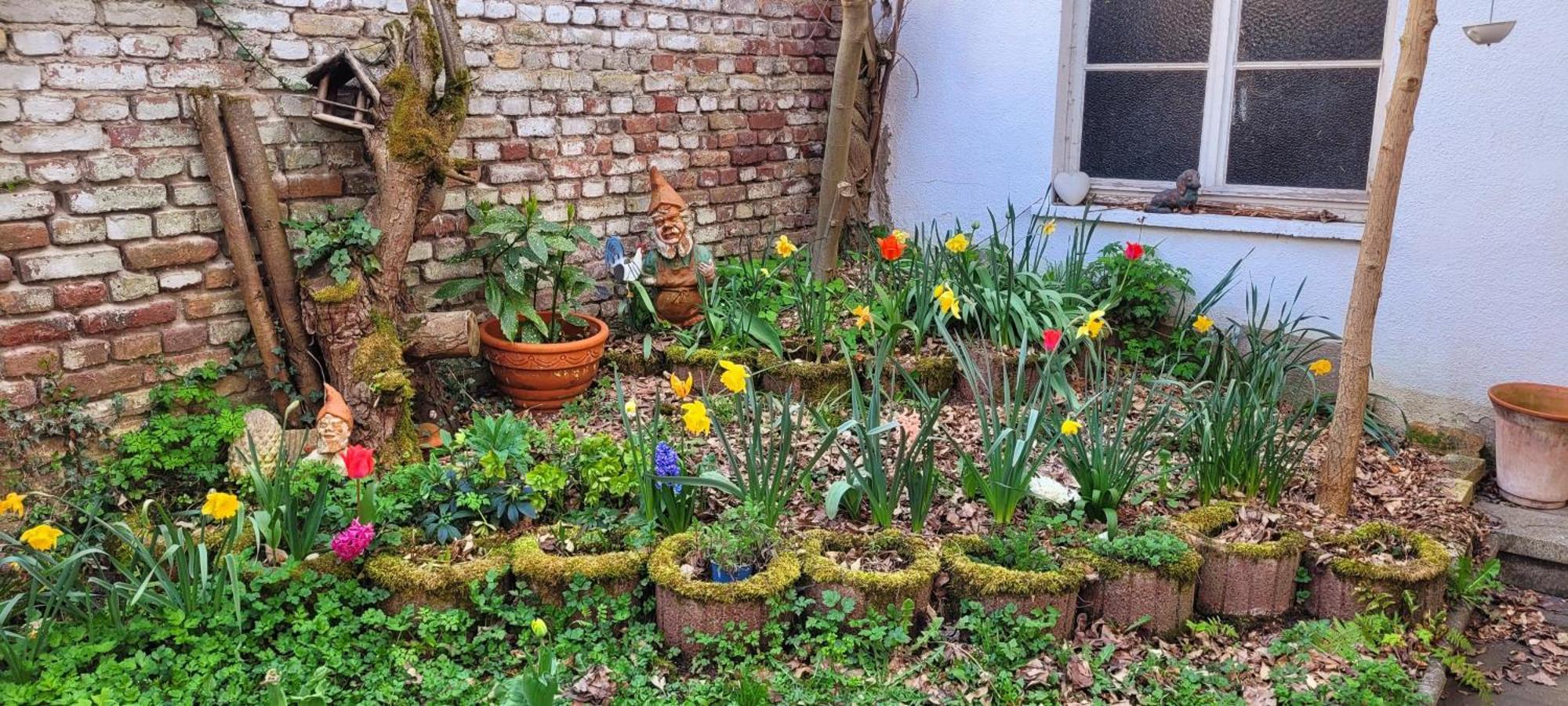 בופארד Urlaub Am Rhein, Ferienwohnung Mit Garten מראה חיצוני תמונה