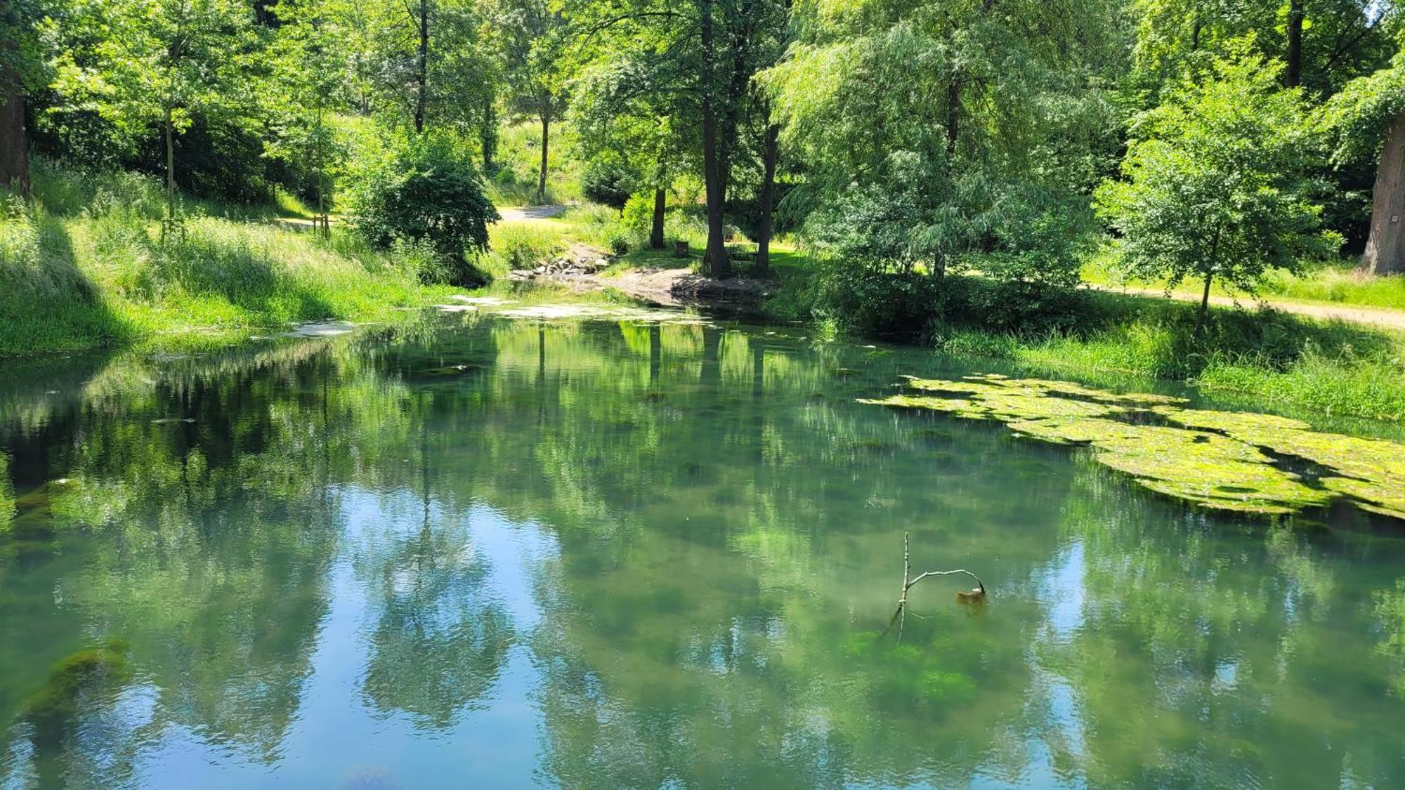 בופארד Urlaub Am Rhein, Ferienwohnung Mit Garten מראה חיצוני תמונה