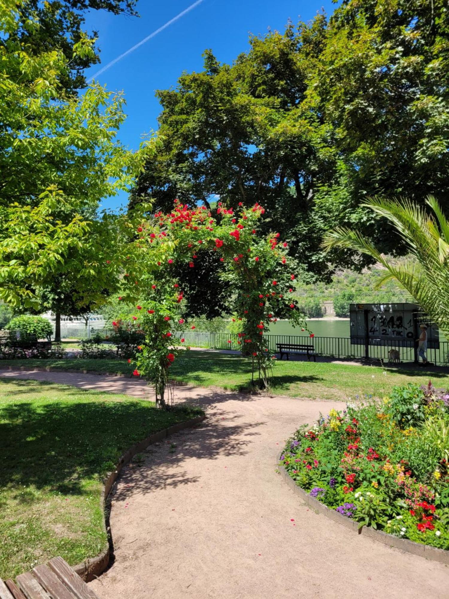 בופארד Urlaub Am Rhein, Ferienwohnung Mit Garten מראה חיצוני תמונה