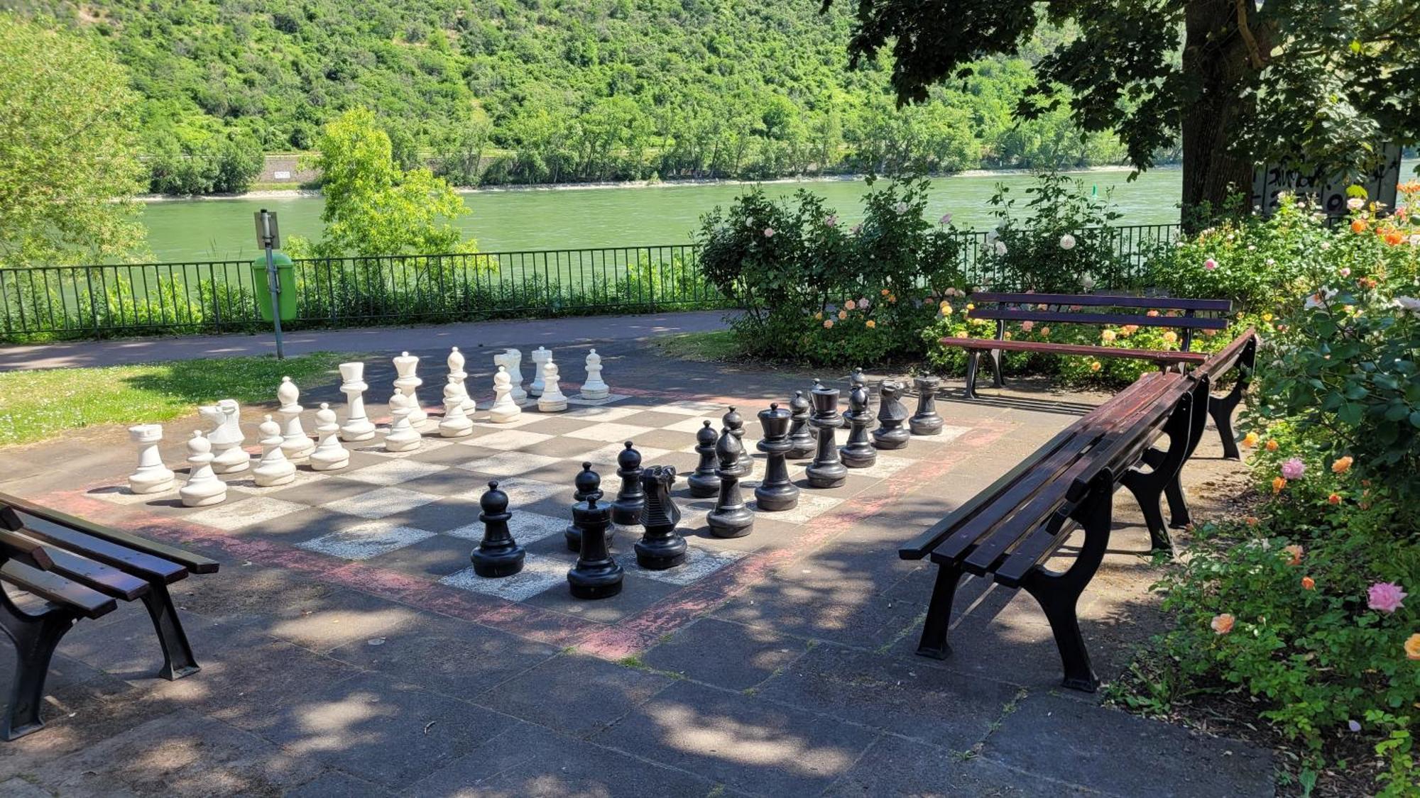 בופארד Urlaub Am Rhein, Ferienwohnung Mit Garten מראה חיצוני תמונה